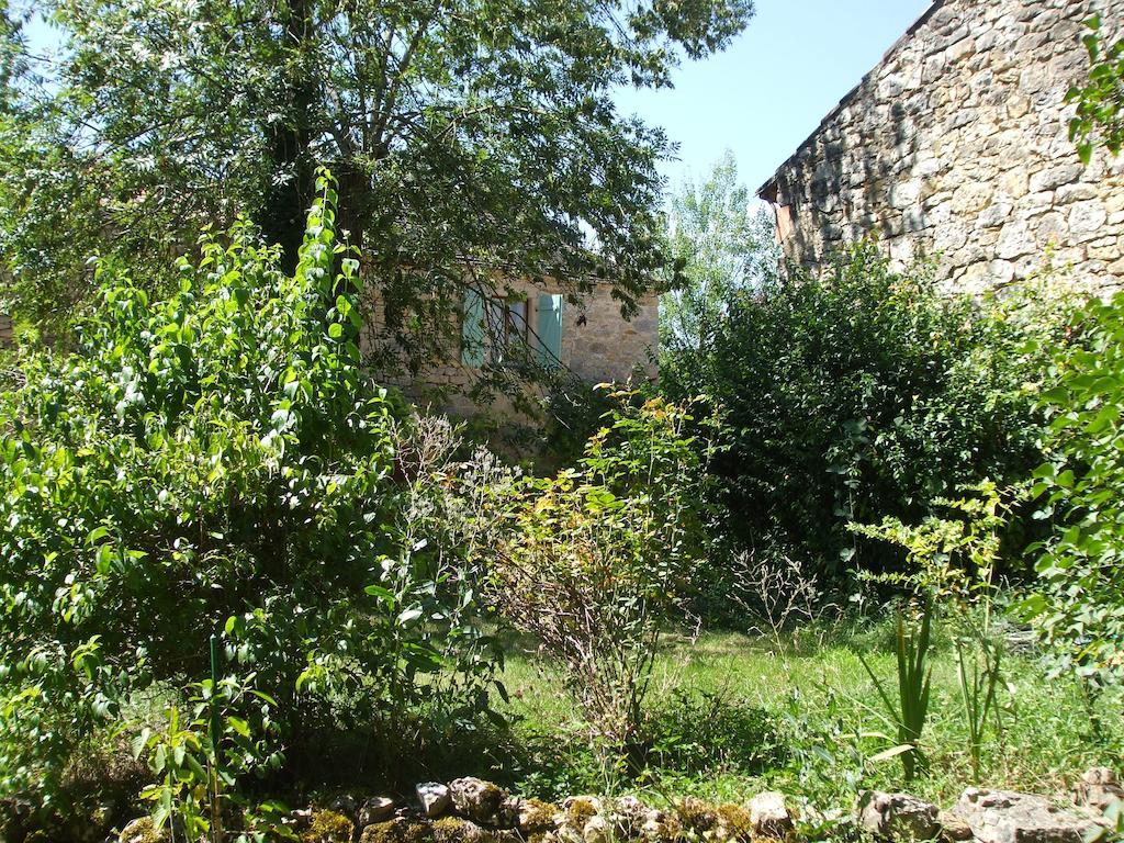 Chambres d'hôtes Les Sonatines Verfeil-sur-Seye Extérieur photo