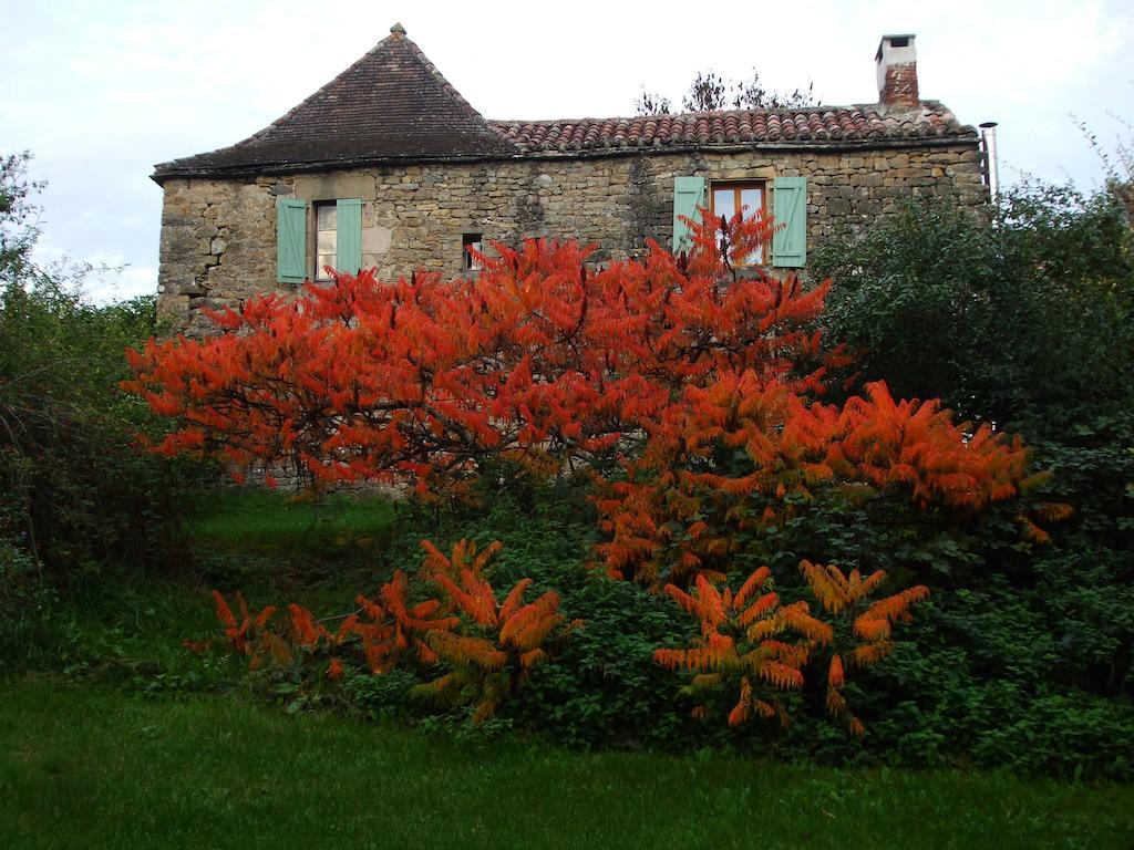 Chambres d'hôtes Les Sonatines Verfeil-sur-Seye Extérieur photo